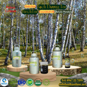 Tinh Dầu Bạch Dương Tar - Birch Tar Essential Oil 1 Lít