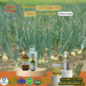 Tinh Dầu Củ Hành Tây - Onion Essential Oil 1 lít