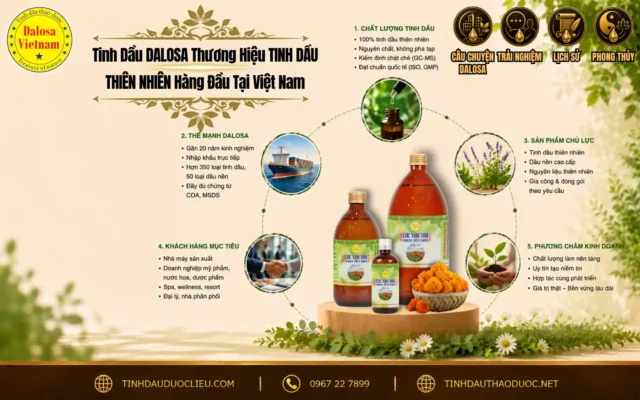 Tinh Dầu DALOSA Thương Hiệu TINH DẦU THIÊN NHIÊN Hàng Đầu Tại Việt Nam 1 Đồ họa giới thiệu thương hiệu tinh dau dalosa thuong hieu tinh dau thien nhien hang dau tai viet nam đặt bên cạnh hình ảnh bộ sản phẩm tinh dầu nhiều kích thước và các khóm thảo mộc tươi