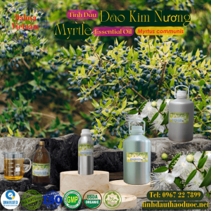 Tinh Dầu Đào Kim Nương - Myrtle Essential Oil 1 Lít