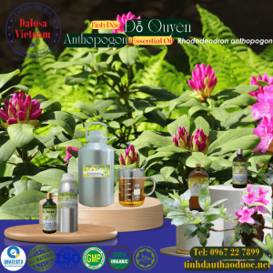 Tinh Dầu Đỗ Quyên - Rhododendron Anthopogon Essential Oil