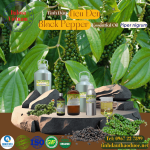 Tinh Dầu Tiêu Đen - Black Pepper Essential Oil