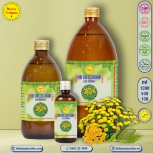 Tinh Dầu Hoa Cúc Costmary - Costmary Essential Oil 3 tinh dau hoa cuc costmary costmary alecost balsam herb costmarie bible leaf alecoast costus sweet mary essential oil