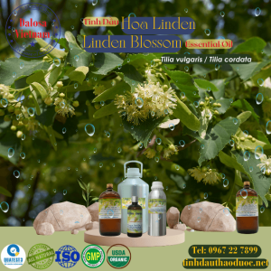 Tinh Dầu Hoa Linden - Linden Blossom Essential Oil