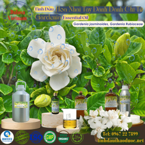 Tinh Dầu Hoa Nhài Tây - Dành Dành - Chi Tử - Gardenia Essential Oil 1 Lít