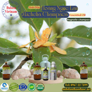 Tinh Dầu Hoàng Ngọc Lan - Michelia Champaca (Champak) Essential Oil 1 Lít