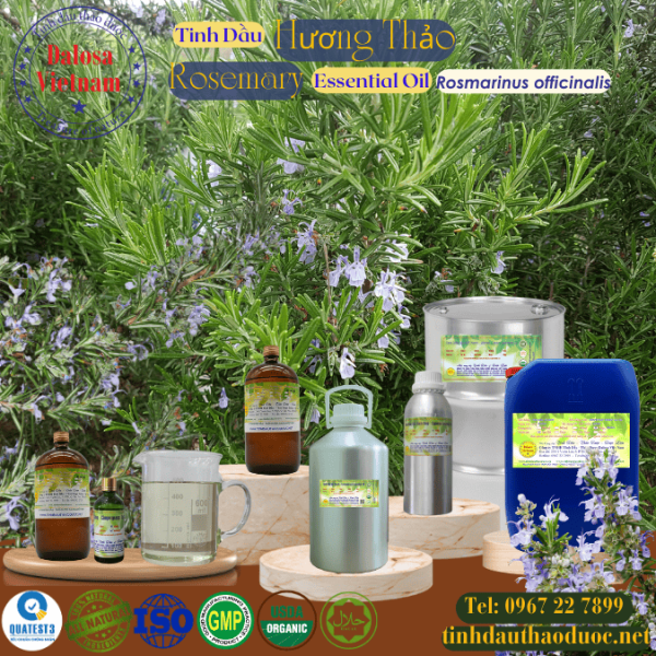 Tinh Dầu Hương Thảo - Rosemary Essential Oil 1 lít