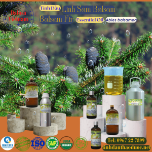 Tinh Dầu Nhựa Thơm Lãnh Sam - Fir Balsam Essential Oil