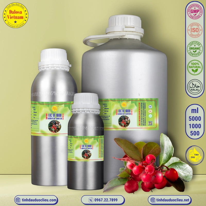 Tinh Dầu Châu Thụ - Gandhapura Essential Oil 2 tinh dau loc de xanh chau thu winter green gandhapura gaultheria procumben essential oil 2