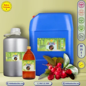 tinh dau loc de xanh chau thu winter green gandhapura gaultheria procumben essential oil 3 1