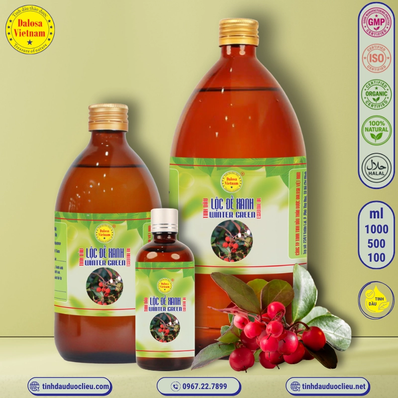 Tinh Dầu Châu Thụ - Gandhapura Essential Oil 1 tinh dau loc de xanh chau thu winter green gandhapura gaultheria procumben essential oil