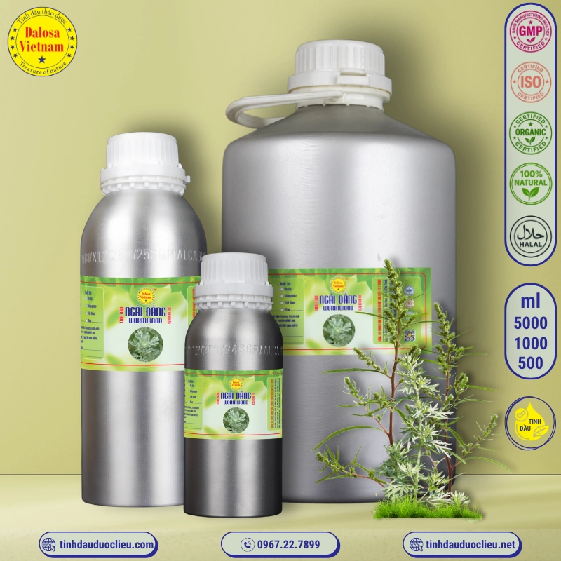 Tinh Dầu Ngải Đắng - Wormwood Essential Oil 1 tinh dau ngai dang wormwood artemisia absinthium wormwood grand wormwood absinthe absinthium absinthe wormwood mugwort wermout wermud wormit wormod essential oil 2