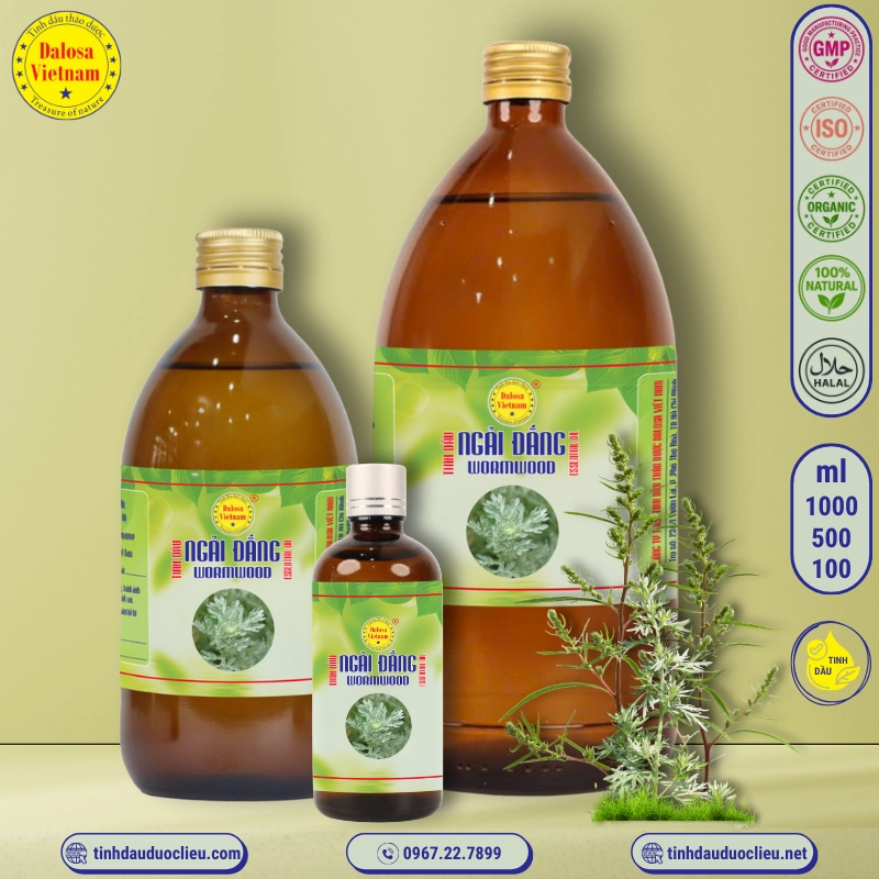 Tinh Dầu Ngải Đắng - Wormwood Essential Oil 2 tinh dau ngai dang wormwood artemisia absinthium wormwood grand wormwood absinthe absinthium absinthe wormwood mugwort wermout wermud wormit wormod essential oil