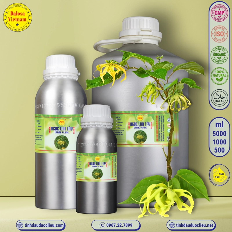 Tinh Dầu Ngọc Lan Tây - Ylang Ylang Essential Oil 3 tinh dau ngoc lang tay ylang ylang cananga odorata essential oil 2