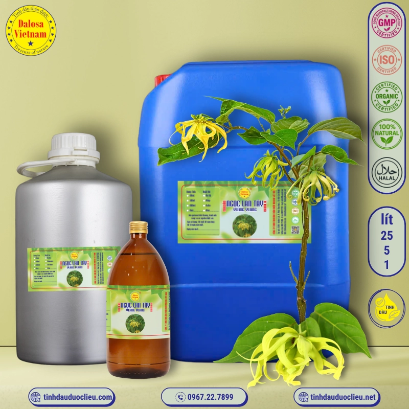 Tinh Dầu Ngọc Lan Tây - Ylang Ylang Essential Oil 1 tinh dau ngoc lang tay ylang ylang cananga odorata essential oil 3
