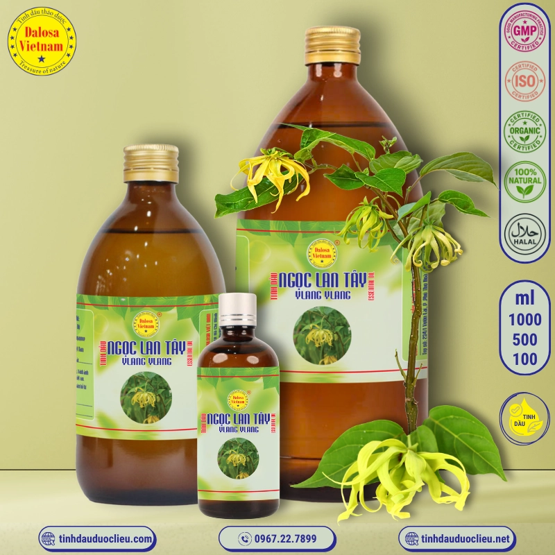 Tinh Dầu Ngọc Lan Tây - Ylang Ylang Essential Oil 2 tinh dau ngoc lang tay ylang ylang cananga odorata essential oil