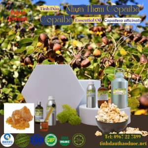 Tinh Dầu Nhựa Thơm Copaiba