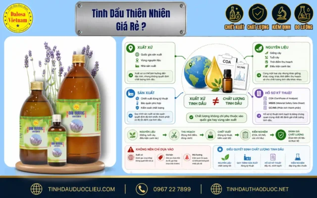 Tinh Dầu Thiên Nhiên Giá Rẻ ? 1 Sơ đồ đồ họa phân tích những góc khuất và rủi ro của tinh dầu thiên nhiên giá rẻ đặt cạnh hoa oải hương và bộ sản phẩm Dalosa
