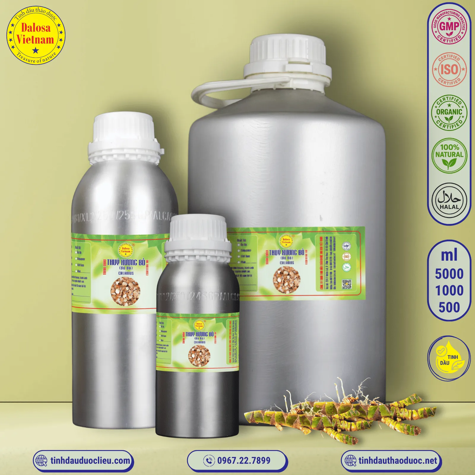 Tinh Dầu Thuỷ Xương Bồ - Calamus Essential Oil 2 tinh dau thuy xuong bo calamus essential oil 2