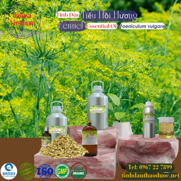 Tinh Dầu Tiểu Hồi Hương - Fennel Essential Oil 1 lít