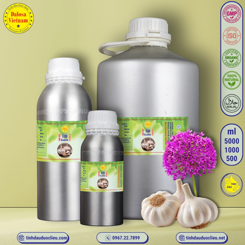 Tinh Dầu Tỏi - Garlic Essential Oil 1 tinh dau toi garlic allium sativum essential oil 2