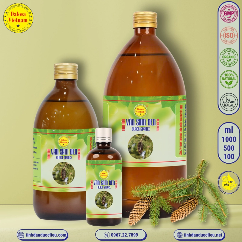 Tinh Dầu Vân Sam Đen - Black Spruce Essential Oil 2 tinh dau van sam den black spruce picea mariana essential oil