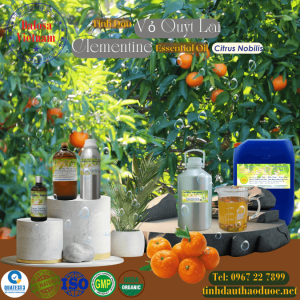 Tinh Dầu Vỏ Quýt Lai - Clementine Essential Oil 1 Lít