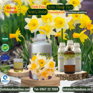 Tinh Dầu Hoa Thuỷ Tiên - Narcissus Essential Oil