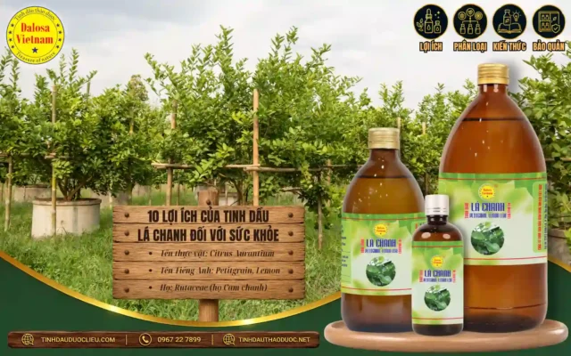 Tinh dầu Lá Chanh và 10 lợi ích đối với sức khỏe