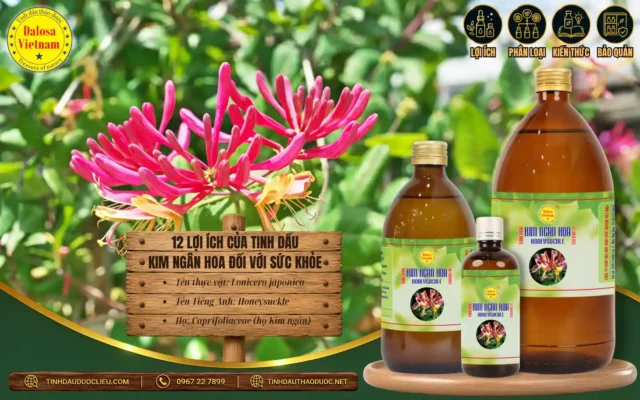 12 Lợi Ích của Tinh Dầu Kim Ngân Hoa Đối Với Sức Khoẻ 1 Tinh dầu kim ngân hoa và 12 lợi ích đối với sức khỏe