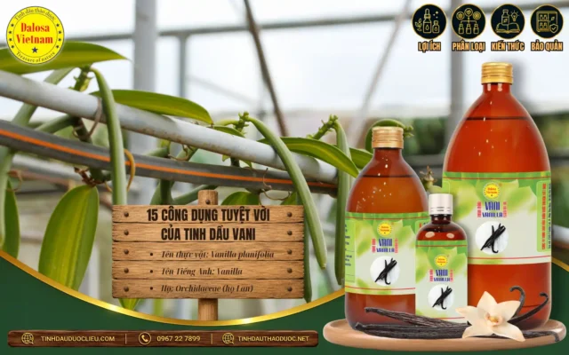 15 Công Dụng Tuyệt Vời Của Tinh Dầu Va Ni 1 Đồ họa bài viết tổng hợp về 15 công dụng tuyệt vời của tinh dầu vani đặt bên cạnh hình ảnh quả vani tươi, thanh vani khô và bộ sản phẩm tinh dầu Dalosa