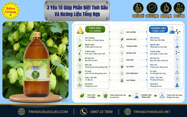 3 Yếu Tố Giúp Phân Biệt Tinh Dầu Và Hương Liệu Tổng Hợp 1 Bảng so sánh trực quan các yếu tố cốt lõi giúp phân biệt tinh dầu và hương liệu tổng hợp đặt cạnh sản phẩm tinh dầu Dalosa
