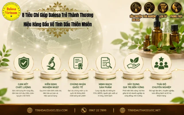 Sơ đồ infographic tổng hợp 8 tiêu chí giúp Dalosa trở thành thương hiệu hàng đầu về tinh dầu thiên nhiên đặt bên cạnh các chai sản phẩm nhỏ giọt