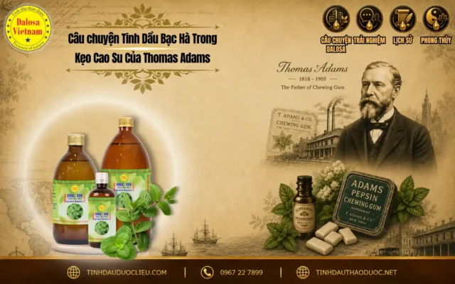 Câu chuyện Tinh Dầu Bạc Hà Trong Kẹo Cao Su Của Thomas Adams 1 Đồ họa tư liệu kể về câu chuyện tinh dầu bạc hà trong kẹo cao su của thomas adams đặt bên cạnh chân dung nhà sáng chế và các chai sản phẩm tinh dầu Dalosa