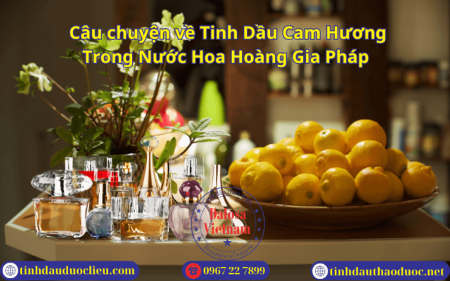 Câu chuyện về Tinh Dầu Cam Hương Trong Nước Hoa Hoàng Gia Pháp