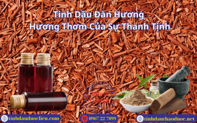 Chuyện Tinh Dầu Đàn Hương Hương Thơm Của Sự Thanh Tịnh