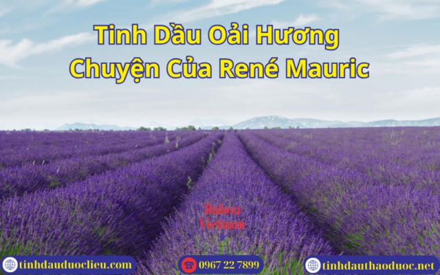 Tinh Dầu Oải Hương Chuyện Của René Maurice