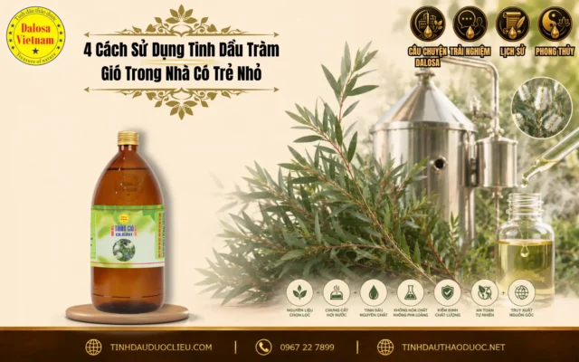 Sơ đồ infographic hướng dẫn 4 cách sử dụng tinh dầu tràm gió trong nhà có trẻ nhỏ đặt bên cạnh cành lá tràm tươi và chai sản phẩm Dalosa