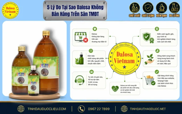 Bảng tổng hợp sơ đồ phân tích các lý do vì sao Dalosa không bán hàng trên sàn TMĐT đặt cạnh các sản phẩm tinh dầu thiên nhiên của thương hiệu