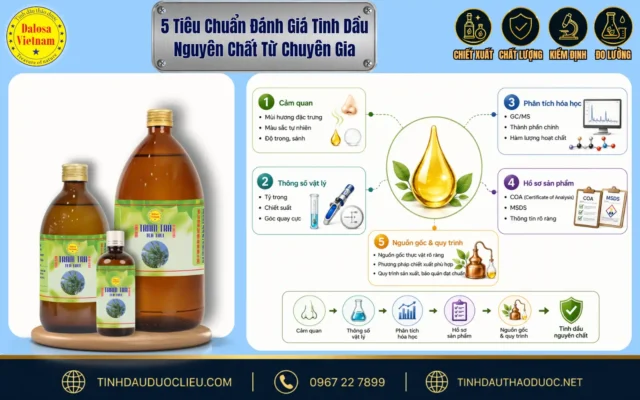 : Sơ đồ infographic tổng hợp 5 tiêu chuẩn đánh giá tinh dầu nguyên chất chuyên nghiệp bên cạnh các chai sản phẩm Dalosa