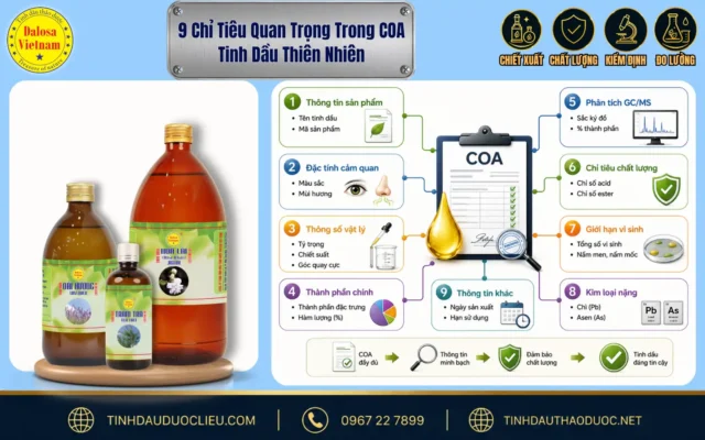 9 Chỉ Tiêu Quan Trọng Trong COA Tinh Dầu Thiên Nhiên 1 Sơ đồ infographic tổng hợp 9 chỉ tiêu quan trọng trong COA tinh dầu thiên nhiên đặt cạnh bộ sản phẩm Dalosa