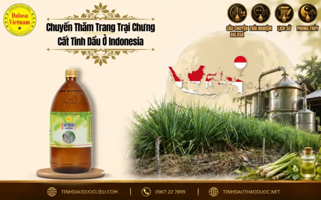 Chuyến Thăm Trang Trại Chưng Cất Tinh Dầu Ở Indonesia 1 Đồ họa tư liệu ghi lại chuyến thăm trang trại chưng cất tinh dầu ở Indonesia đặt bên cạnh chai sản phẩm tinh dầu nhập khẩu của Dalosa