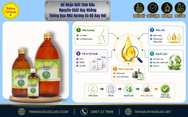 Để Nhận Biết Tinh Dầu Nguyên Chất Hay Không Thông Qua Mùi Hương Và Độ Bay Hơi 1 Sơ đồ hướng dẫn cách nhận biết tinh dầu nguyên chất hay không dựa trên đặc tính mùi hương và tốc độ bay hơi tự nhiên đặt cạnh bộ sản phẩm Dalosa