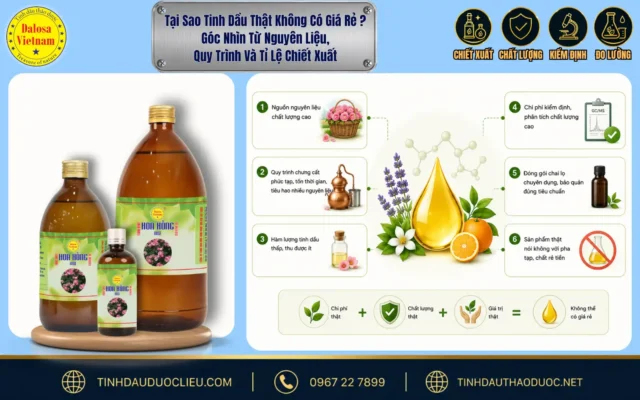 tại sao tinh dầu thật không có giá rẻ, góc nhìn từ nguyên liệu quy trình và tỉ lệ chiết xuất 