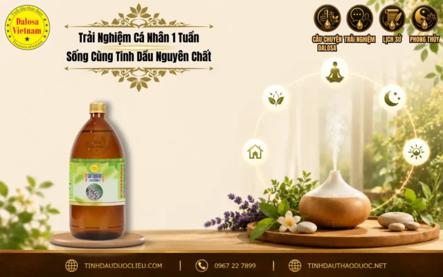 Đồ họa bài viết chia sẻ về trải nghiệm cá nhân 1 tuần sống cùng tinh dầu nguyên chất đặt bên cạnh máy xông khuếch tán và chai sản phẩm Dalosa