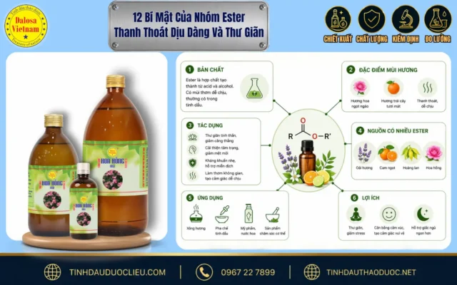 12 Bí Mật Của Nhóm Ester Thanh Thoát Dịu Dàng Và Thư Giãn 1 Đồ họa bài viết nghiên cứu về 12 bí mật của nhóm ester thanh thoát dịu dàng và thư giãn đặt bên cạnh bộ sản phẩm tinh dầu Dalosa và sơ đồ đặc tính thành phần minh họa
