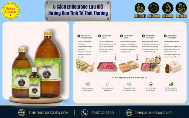 5 Cách Enfleurage Lưu Giữ Hương Hoa Tinh Tế Thời Thượng 1 Đồ họa bài viết hướng dẫn về 5 cách enfleurage lưu giữ hương hoa tinh tế thời thượng đặt bên cạnh hình ảnh bộ sản phẩm tinh dầu Dalosa và sơ đồ quy trình minh họa