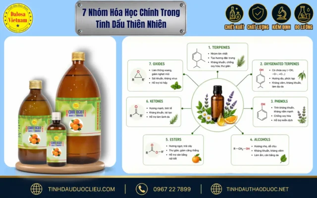 : Sơ đồ phân loại tổng hợp 7 nhóm hóa học chính trong tinh dầu thiên nhiên bên cạnh bộ sản phẩm tinh dầu Dalosa