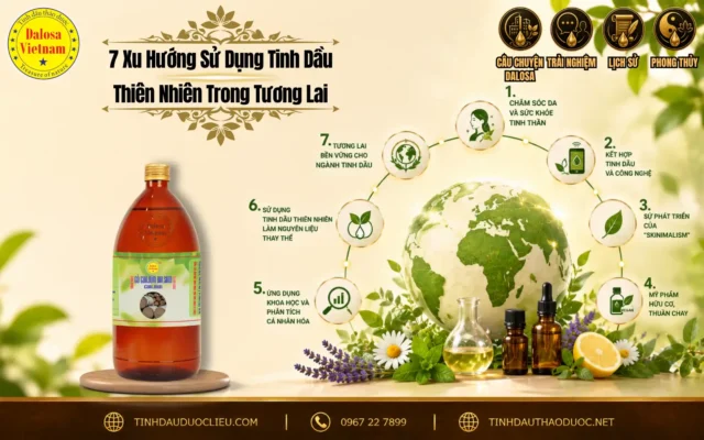 7 Xu Hướng Sử Dụng Tinh Dầu Thiên Nhiên Trong Tương Lai 1 Sơ đồ infographic phân tích 7 xu hướng sử dụng tinh dầu thiên nhiên trong tương lai đặt bên cạnh mô hình quả địa cầu và chai sản phẩm Dalosa