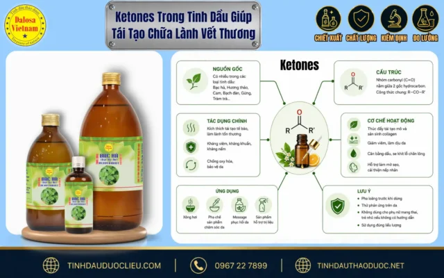 Ketones Trong Tinh Dầu Giúp Tái Tạo Chữa Lành Vết Thương 1 Đồ họa bài viết khoa học phân tích về ketones trong tinh dầu giúp tái tạo chữa lành vết thương đặt bên cạnh bộ sản phẩm tinh dầu Dalosa và sơ đồ cấu trúc hóa học minh họa